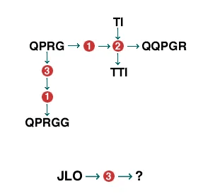 diagrammatic reasoning sample question