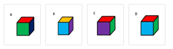 feast-cube-options