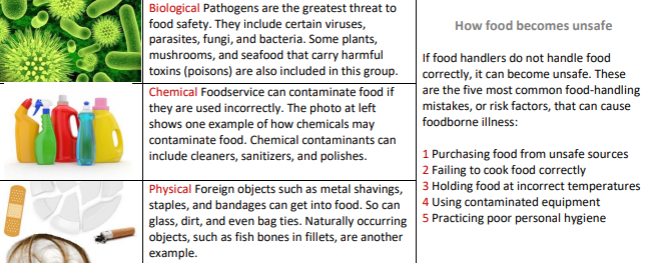 Food contaminants examples