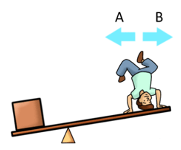 Bennett Mechanical Comprehension Test Sample Question - Forces