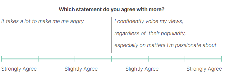 Adpet Personality Question 2