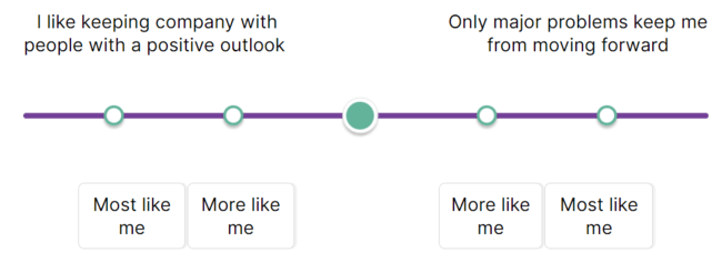 Amazon Work Style Assessment Practice