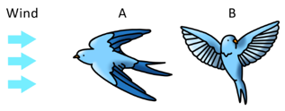 Bennet Mechanical Comprehension Practice Question 1